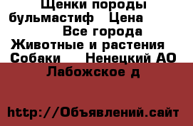 Щенки породы бульмастиф › Цена ­ 25 000 - Все города Животные и растения » Собаки   . Ненецкий АО,Лабожское д.